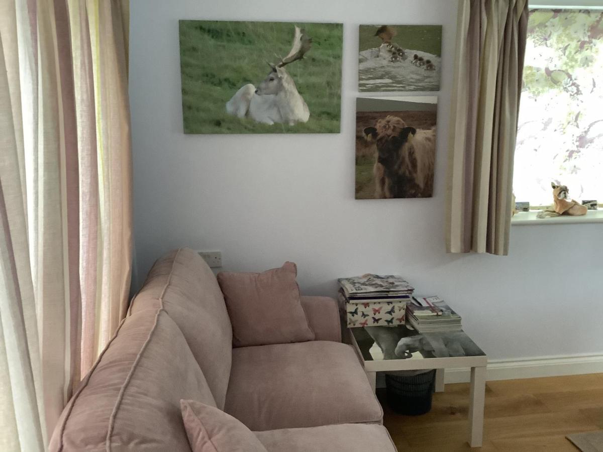 Exmoor Retreat On Two Moors Way Withypool Esterno foto