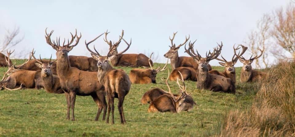 Exmoor Retreat On Two Moors Way Withypool Esterno foto