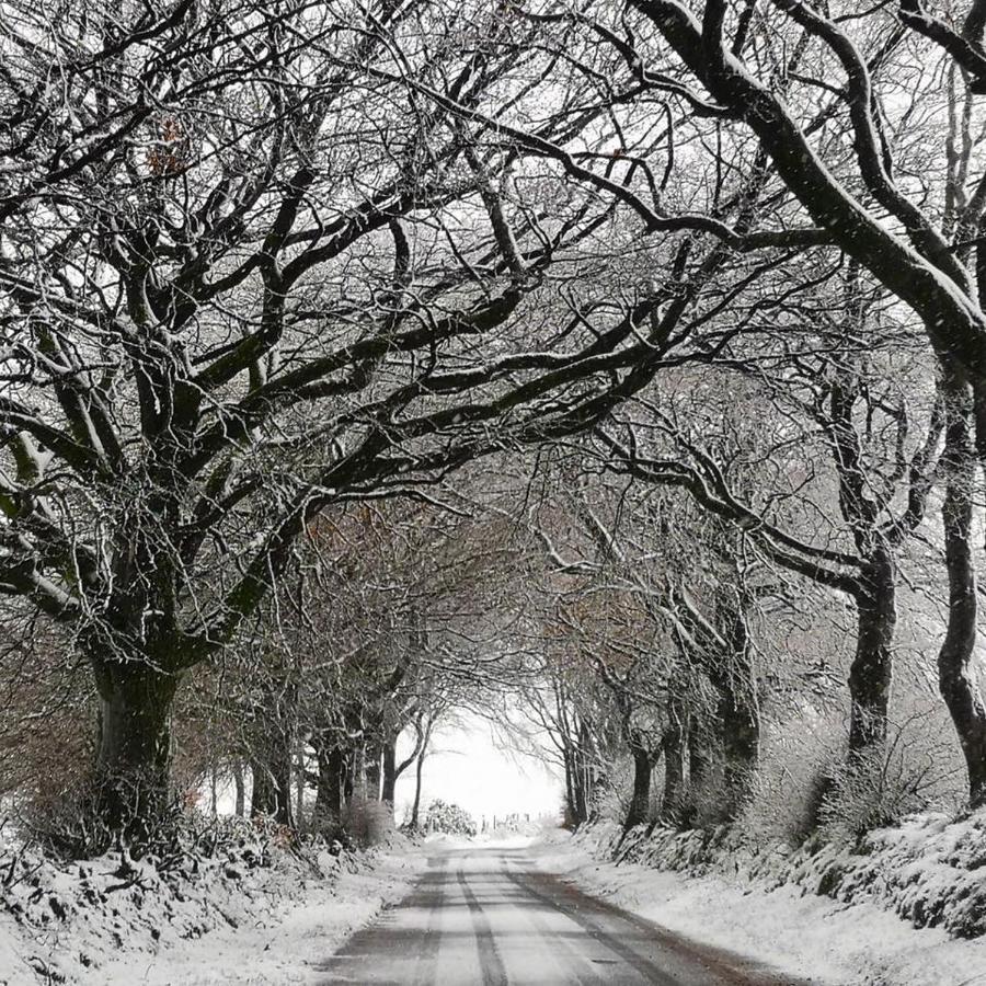 Exmoor Retreat On Two Moors Way Withypool Esterno foto