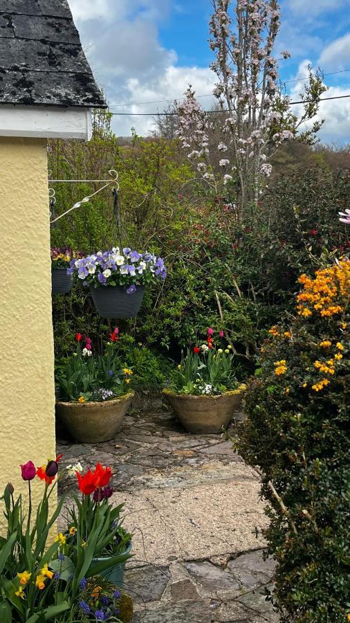 Exmoor Retreat On Two Moors Way Withypool Esterno foto