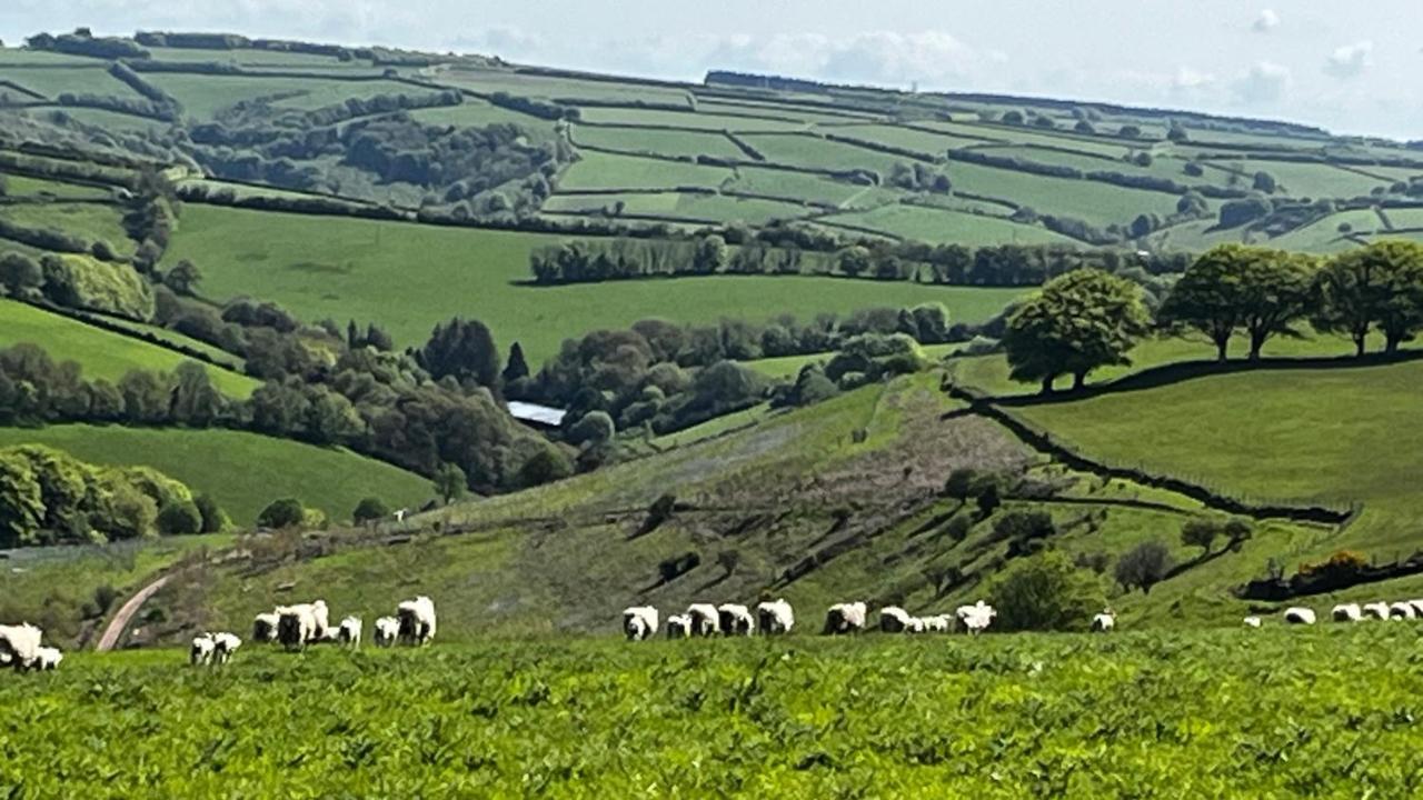 Exmoor Retreat On Two Moors Way Withypool Esterno foto