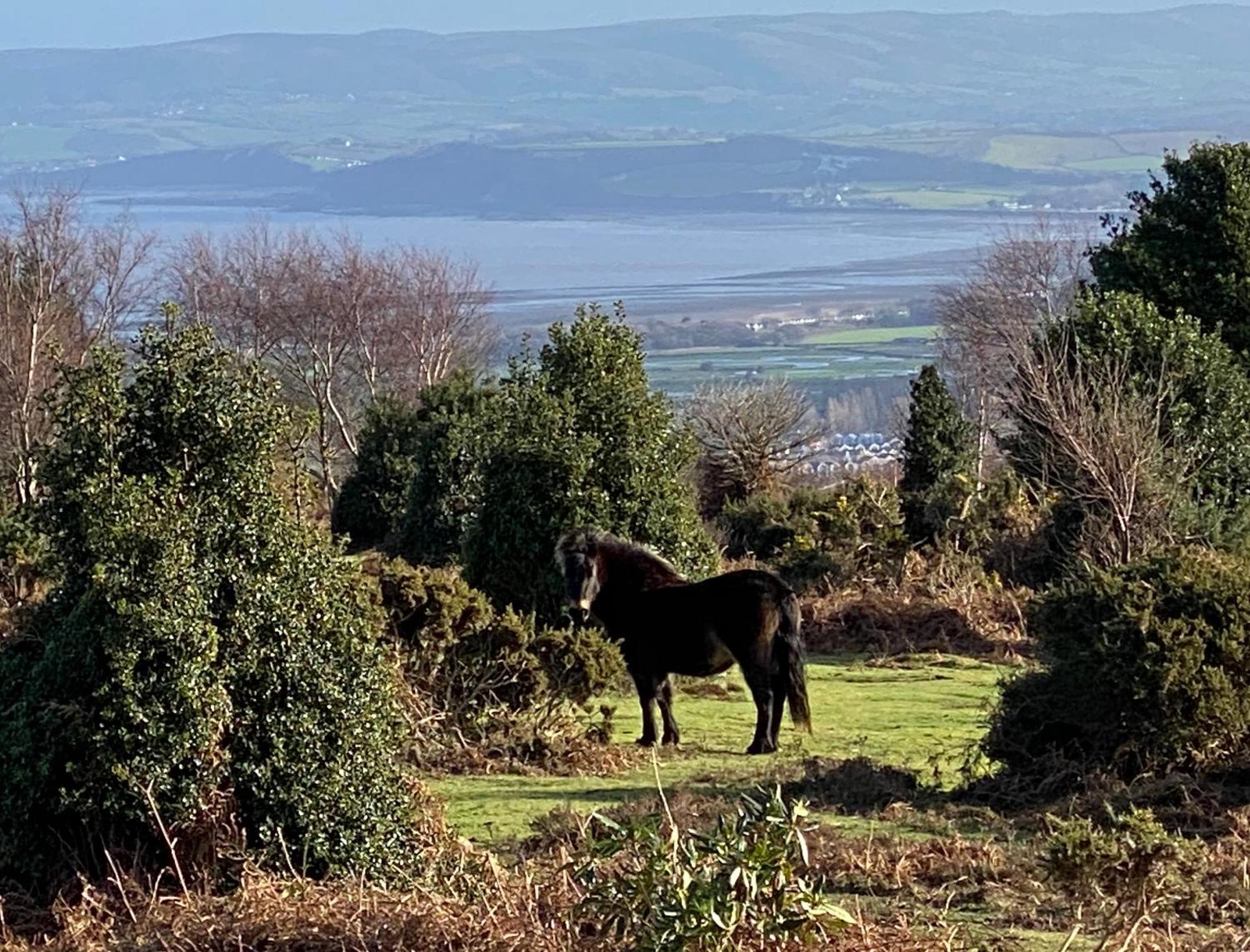 Exmoor Retreat On Two Moors Way Withypool Esterno foto